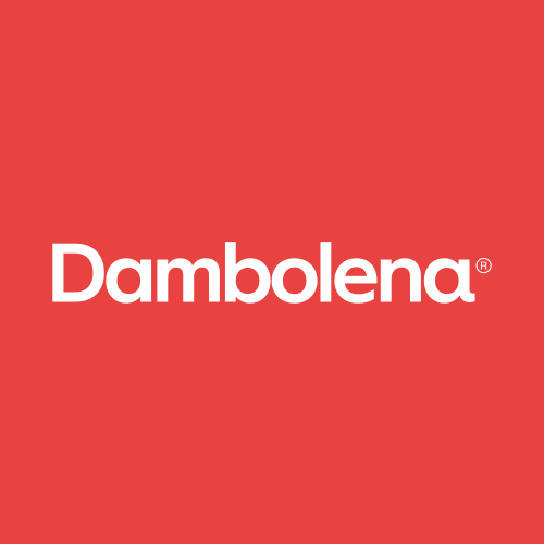 Dambolena logo - Work experience
